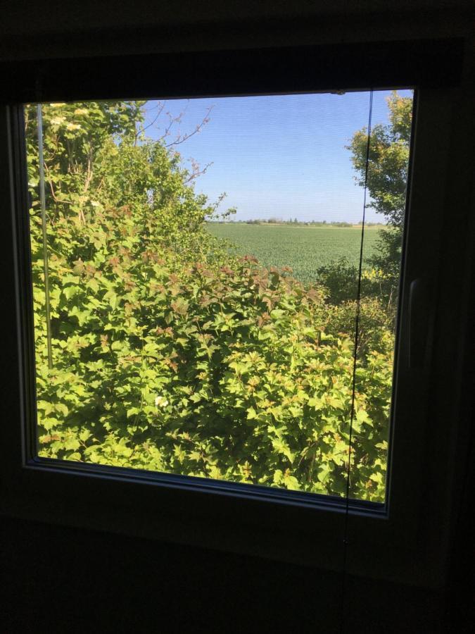 Glamping Aan De Thoolse Kust Hotel Poortvliet Bagian luar foto